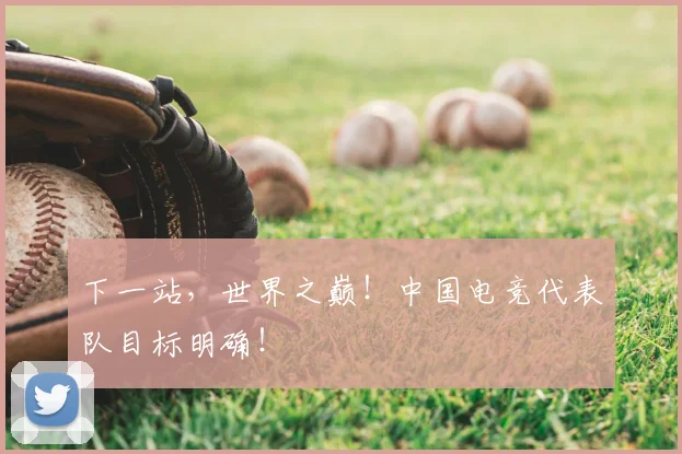 下一站，世界之巅！中国电竞代表队目标明确！