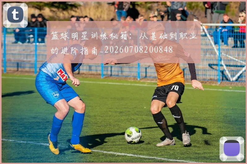 篮球明星训练秘籍：从基础到职业的进阶指南_20260708200848