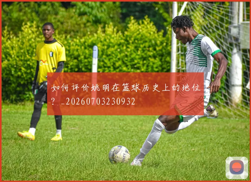 如何评价姚明在篮球历史上的地位?_20260703230932