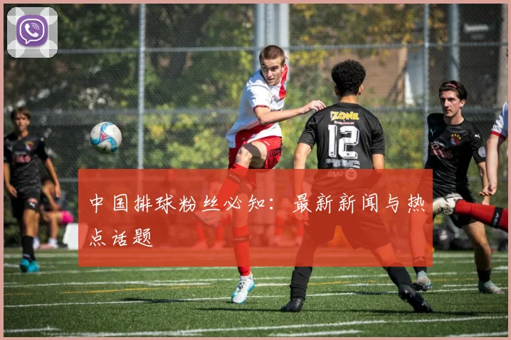 中国排球粉丝必知：最新新闻与热点话题